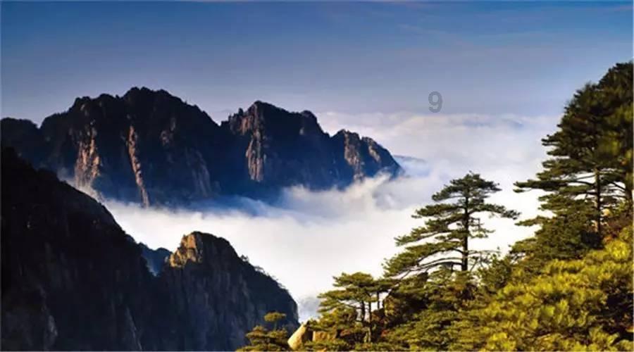 吃排骨我家最馋这吃法，比清炖入味，比红烧营养，上桌瞬间就抢光游戏画面